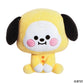 BABY BT21 LINE FRIENDS SEDÍCÍ PLYŠOVÁ PANENKA 21CM