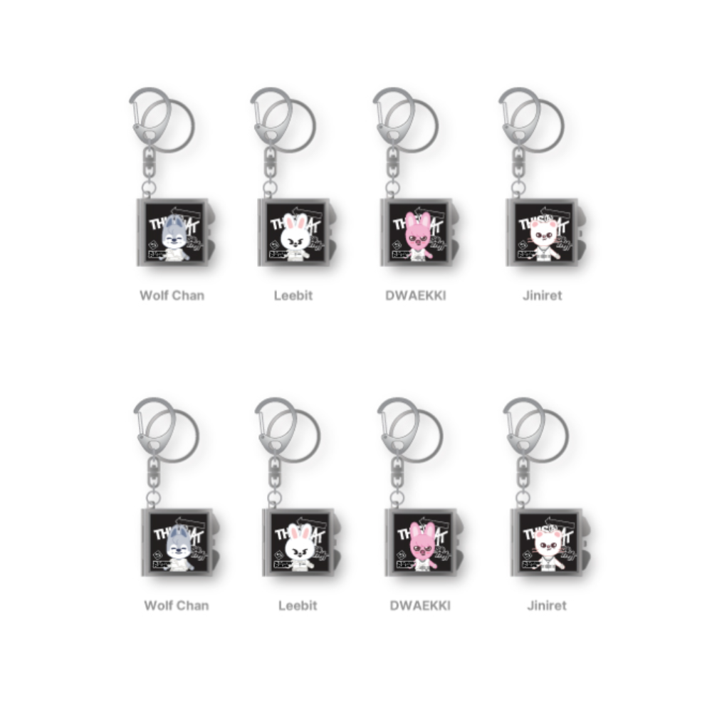 STRAY KIDS [THIS & THAT] SKZOO MIRROR KEYRING POP UP PICK UP PREORDER