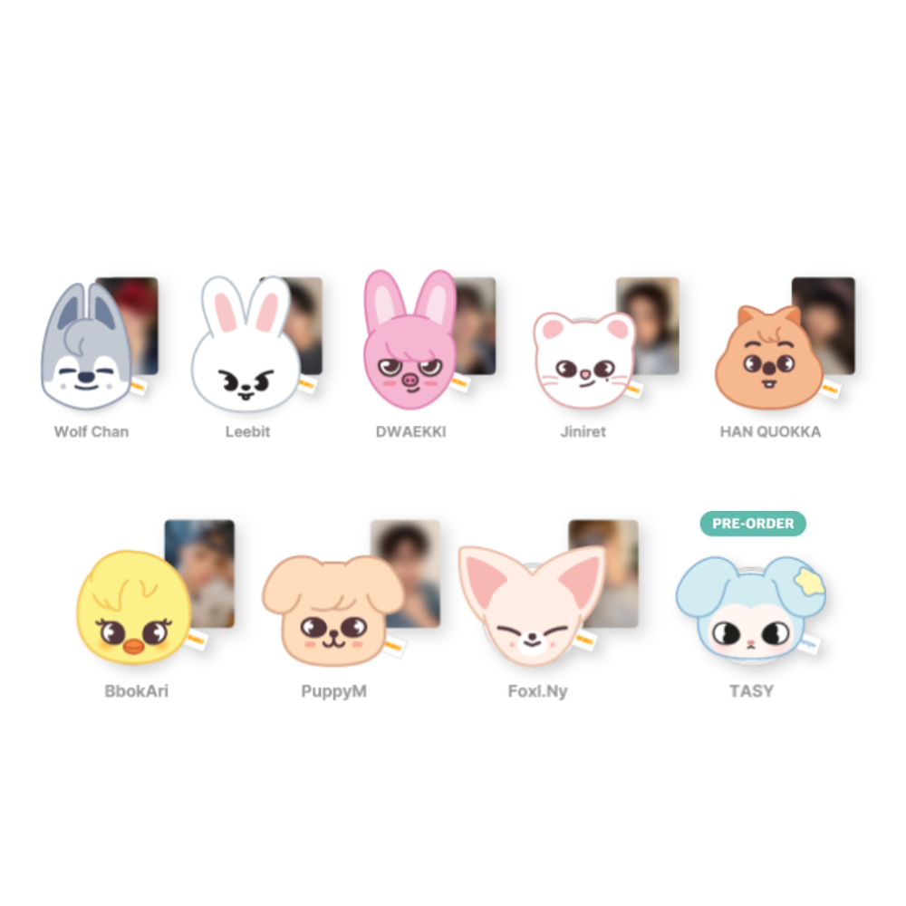 STRAY KIDS [THIS & THAT] SKZOO PLUSH MAGNET HOLDER POP UP PICK UP PREORDER
