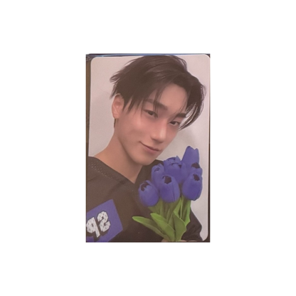 ATEEZ ANITEEZ IN COLOR POP UP OFFLINE POB