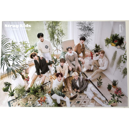 STRAY KIDS POSTER (A3)