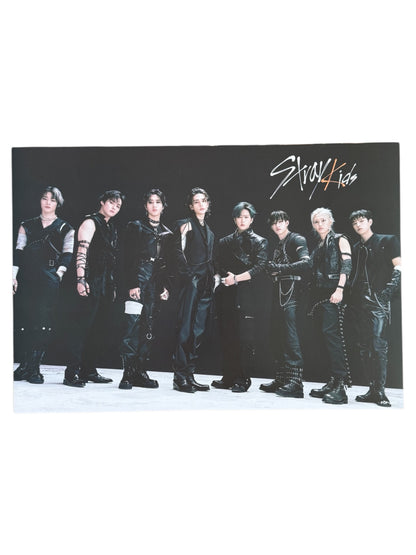 STRAY KIDS POSTER (A3)