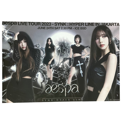 AESPA POSTER (A3)