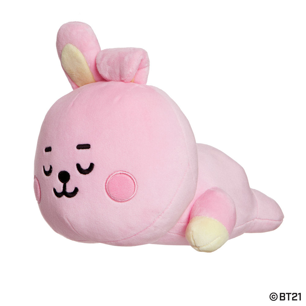BT21 BABY MINI PILLOW CUSHION